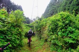 フジヤマパワーライントレイル