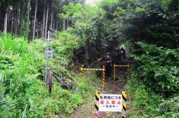 フジヤマパワーライントレイル