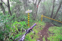 フジヤマパワーライントレイル