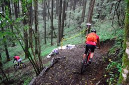 フジヤマパワーライントレイル