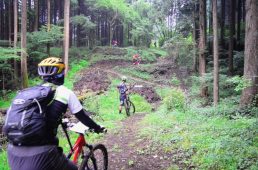 フジヤマパワーライントレイル