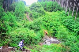 フジヤマパワーライントレイル