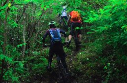 フジヤマパワーライントレイル