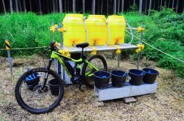 フジヤマパワーライントレイル