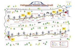 フジヤマパワーライントレイル