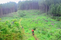 フジヤマパワーライントレイル