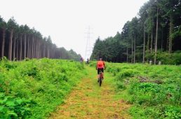 フジヤマパワーライントレイル