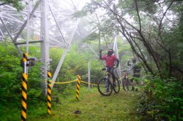 フジヤマパワーライントレイル