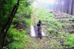 フジヤマパワーライントレイル