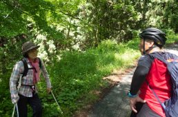 旧街道じてんしゃ旅 旧中山道編 四日目その壱