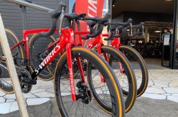 ラビットストリート本店