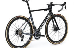 フォーカス・イザルコマックス