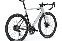 フォーカス・イザルコマックス