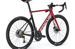 フォーカス・イザルコマックス