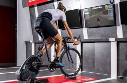 エリート・ステルツォ・スマート