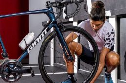 エリート・ステルツォ・スマート