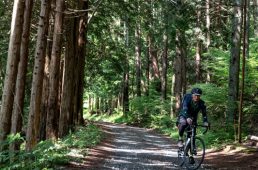 旧街道じてんしゃ旅 旧中山道編 五日目その壱