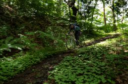 旧街道じてんしゃ旅 旧中山道編 五日目その壱