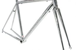 ミューラー・MSP