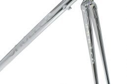 ミューラー・MSP