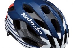 カブト　イザナギ・ニッポ