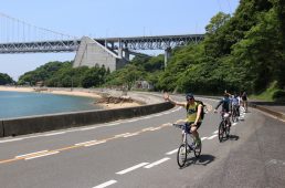 フェローサイクル