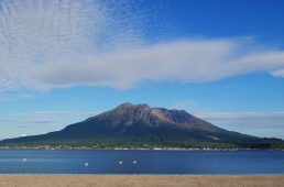 フェローサイクル