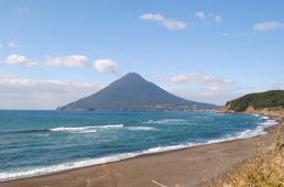 フェローサイクル