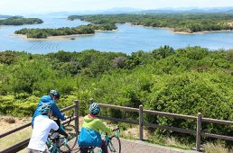 フェローサイクル