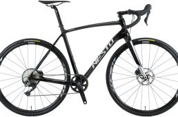 ネスト・クラウス プロ