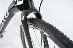 ネスト・クラウス プロ