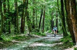 グラベルエクスペリエンスジャパン那須高原