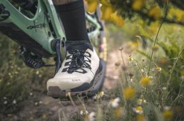 フィジーク ・テラ エルゴレース