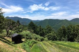 くまのサイクリングツアー