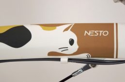 ネスト・コチカ