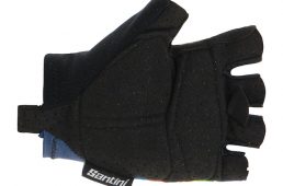 サンティーニ・2020世界選