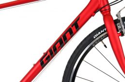 あさひ・ジャイアント