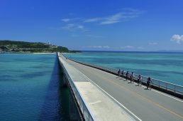 サイクリストウェルカム