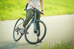 フェルト・ベルザスピード