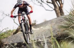 スペシャライズド・チゼル