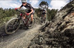 スペシャライズド・チゼル