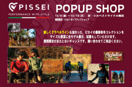 シルベストサイクル