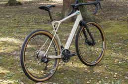 アレックスリムズ