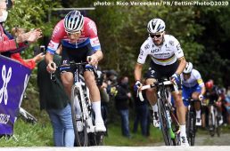 ブラバンツ・ペイル2020