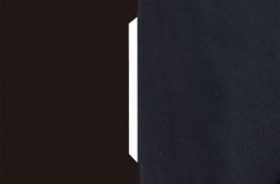 パールイズミ・オーバータイツ