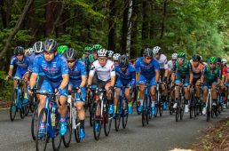 Jプロツアー最終戦