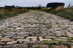 別府史之が見た世界10