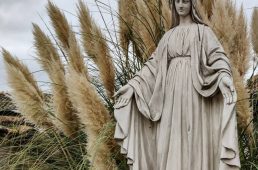 別府史之が見た世界10