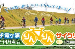 つくば霞ヶ浦りんりんサイクリング