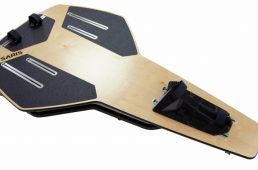 サリスアンバサダー